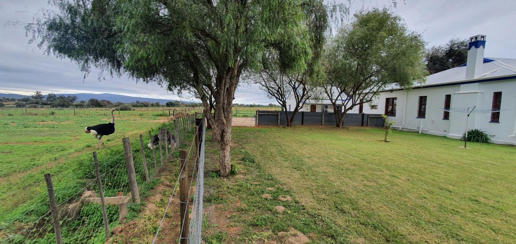 Karoo Leeu Self Catering Villa Oudtshoorn Eksteriør billede